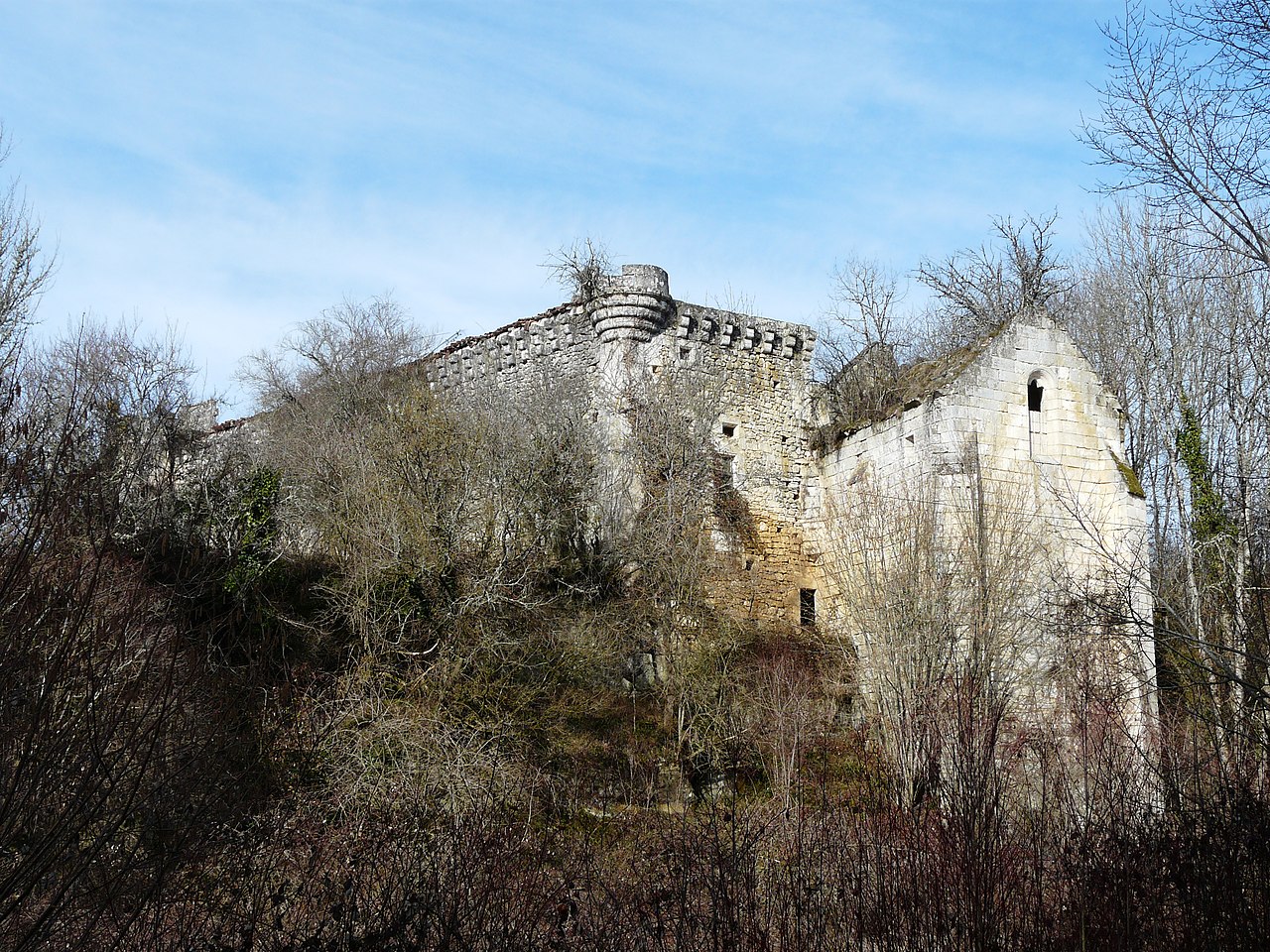 Château de La Tour-Blanche en Dordogne